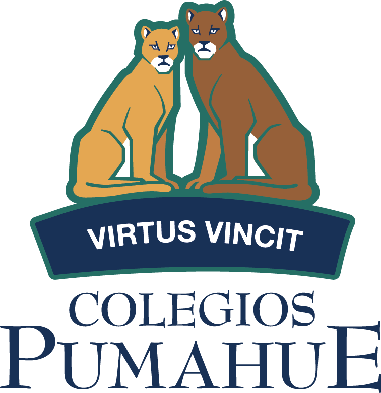 Colegio Pumahue Chicauma